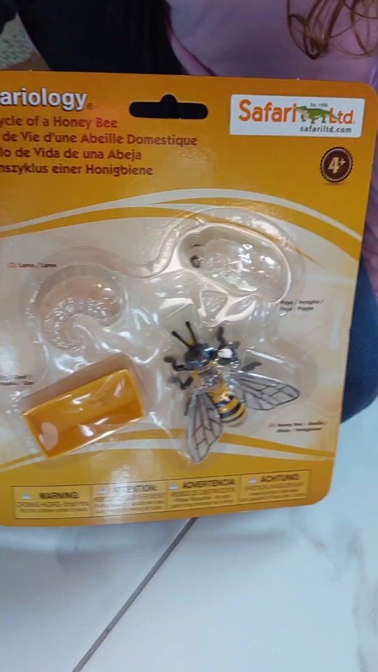 Jucărie educațională Safari Ltd - Ciclul de viață al albinei