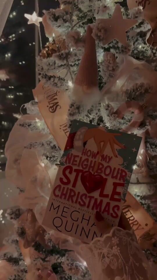 How my Neighbor Stole Christmas 🎄📚