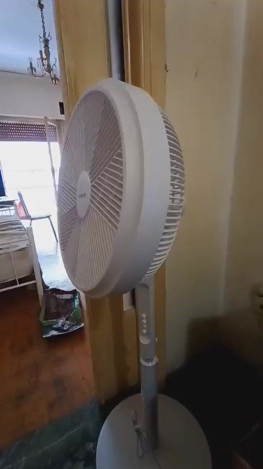 Kurzes Video überprüfen