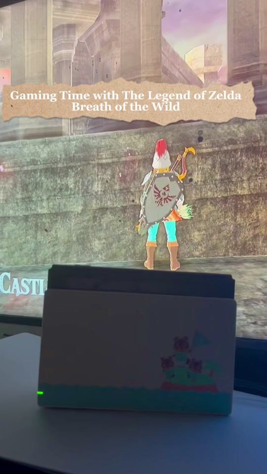 Gaming Time with The Legend of Zelda Breath of the Wild Switch Game 🎮