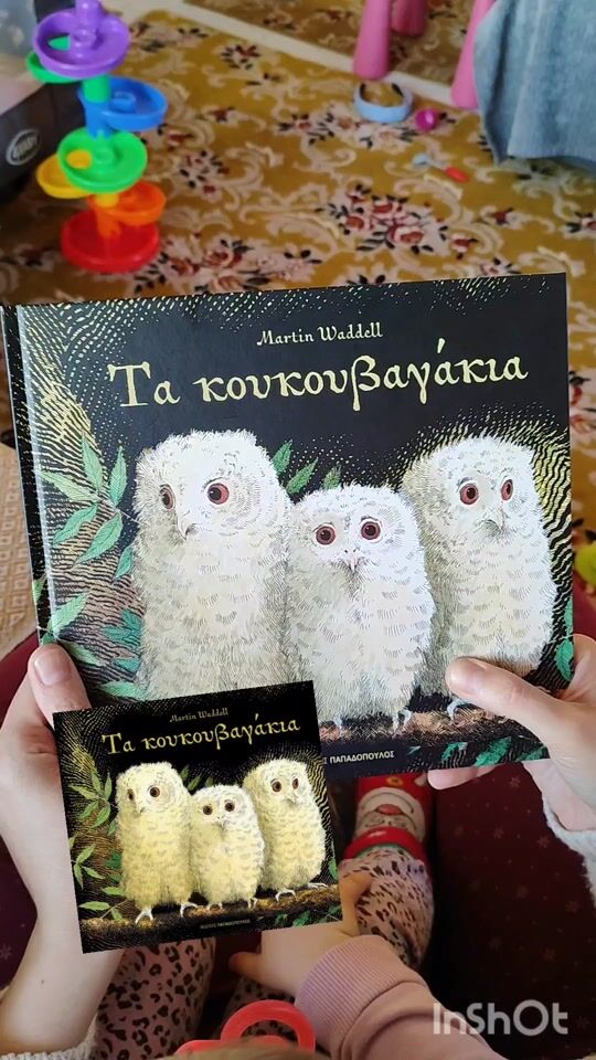 Τα κουκουβαγάκια 🦉🦉🦉