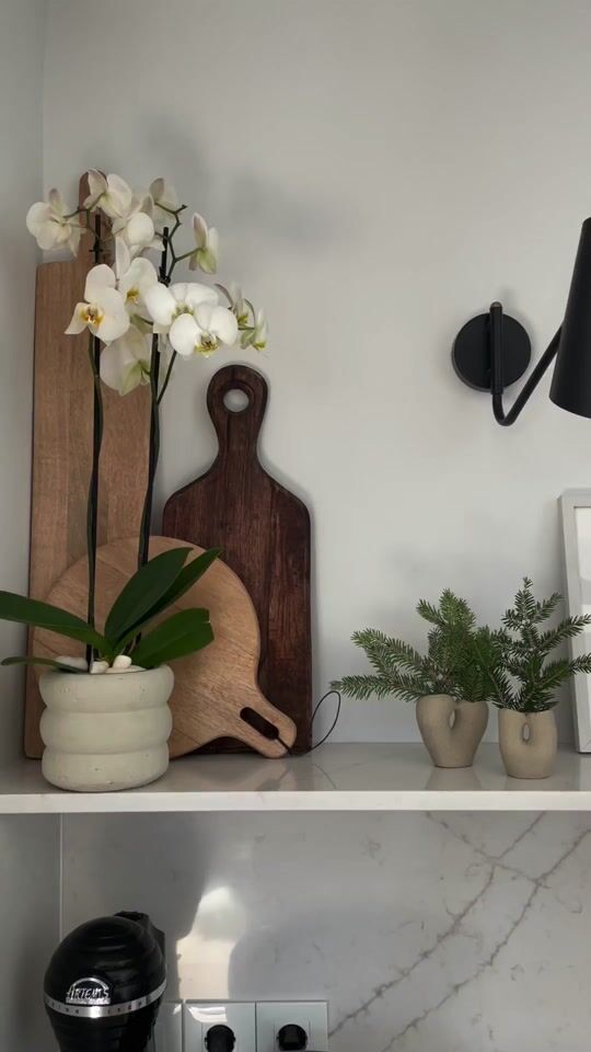 How to style your kitchen shelves  (tip:always add some plants 🪴🌿🌱)