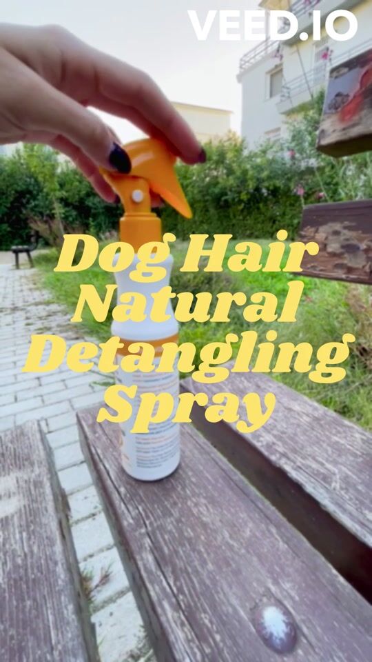 Hunde Haarentwirrungsspray!
