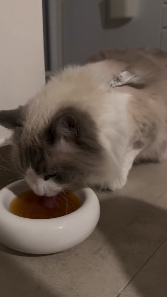 Βίντεο αξιολόγησης