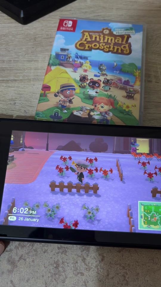 Animal Crossing: New Horizons Switch Gameplay