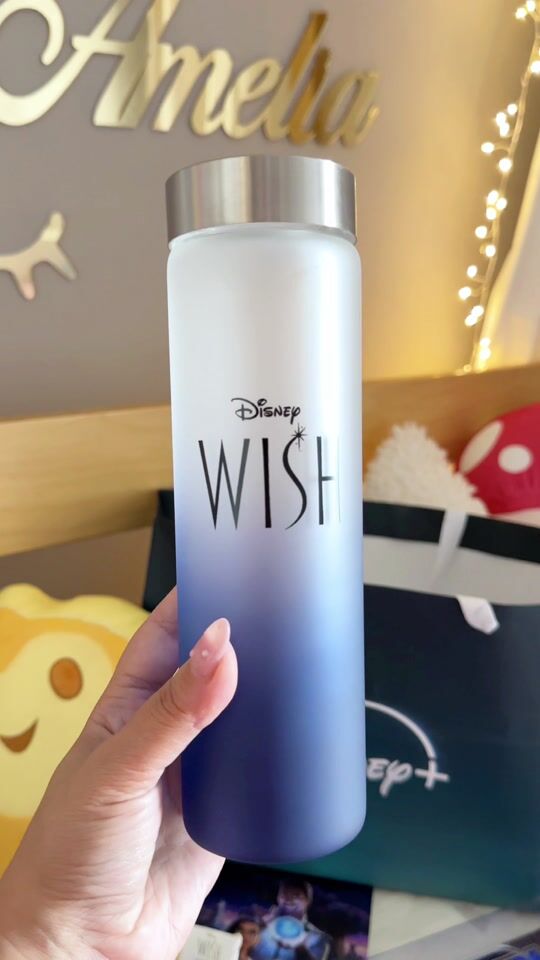 Pyramid International Disney: Wish - Magic In Every Wish Sticla de apa 540ml