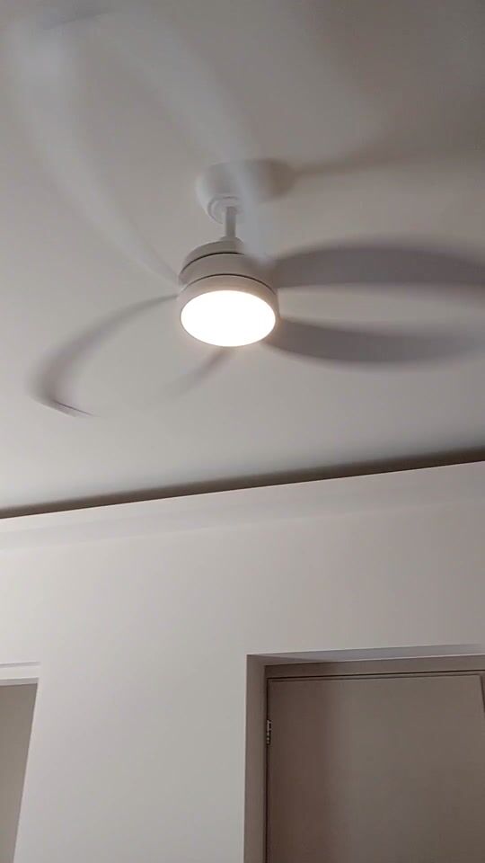 Kurzes Video überprüfen