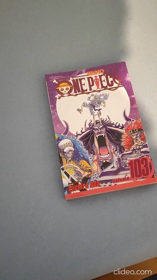 The latest volume of One Piece