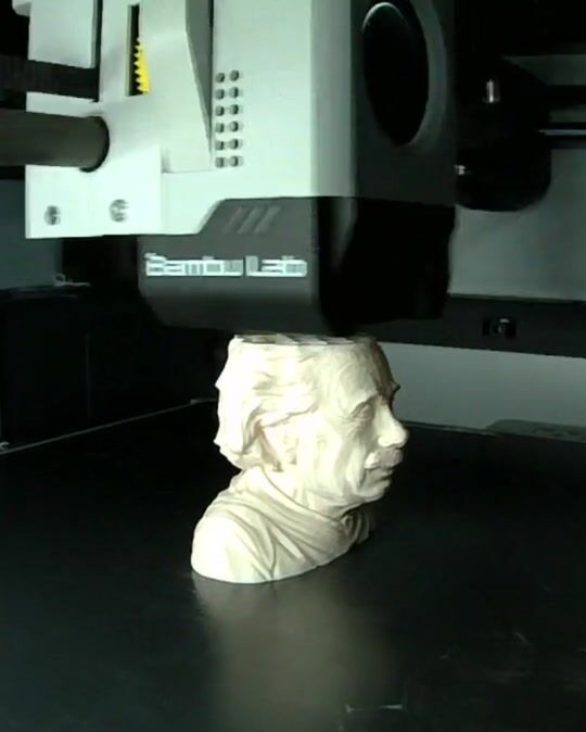 3D printing Einstein