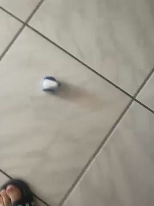 Kurzes Video überprüfen