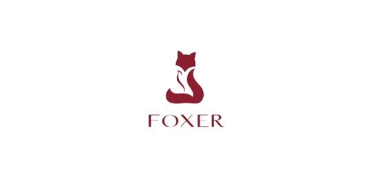 Foxer Γυναικεία Τσάντα 'Ωμου Καφέ