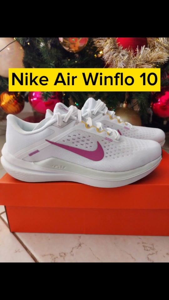 🎅 Santa's Gift Nike Air Winflo 10 