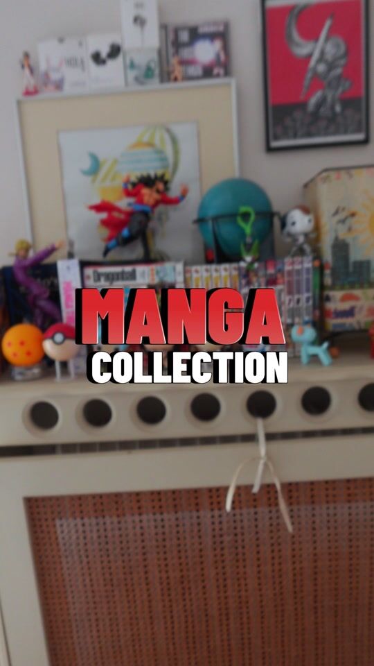 👹||MANGA COLLECTION||😮‍💨