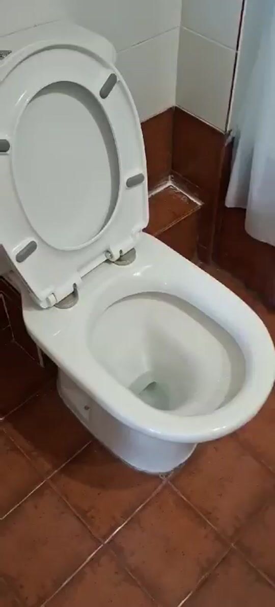 Revizuiți videoclipul scurt