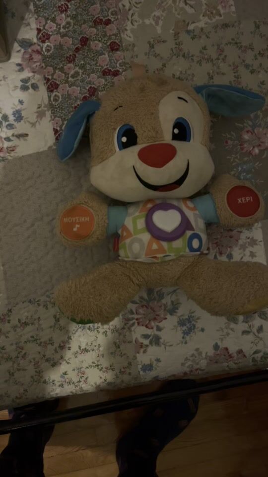 Educational puppy fisher price!