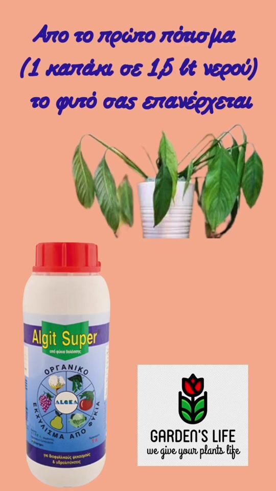 Algit super : το αναζωογονητικό λίπασμα για φυτά