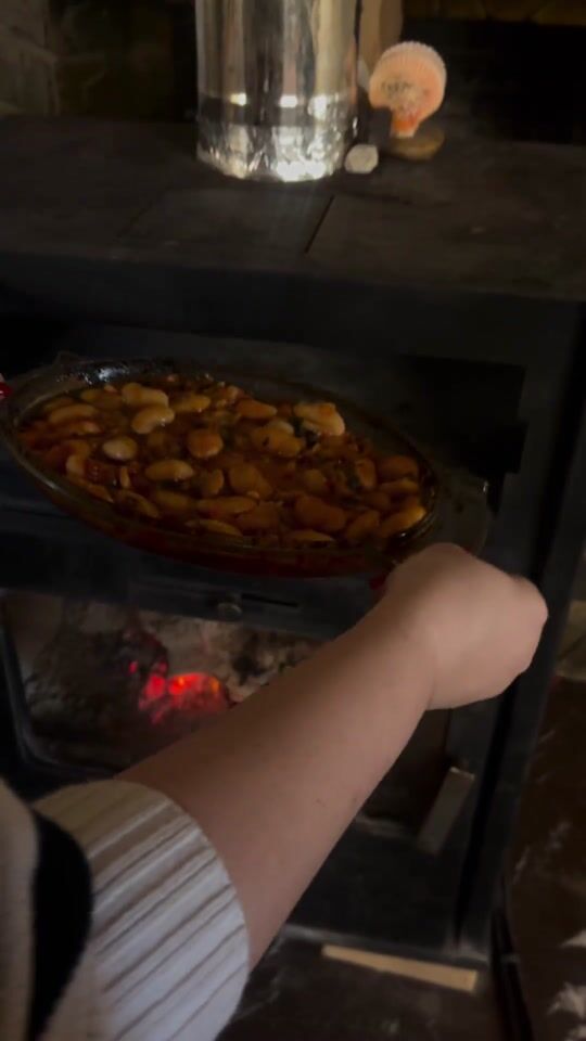 Wood Stove: Warmth and Cooking