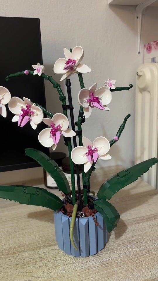 Lego Creator Orchidee | Valentinstagsgeschenk