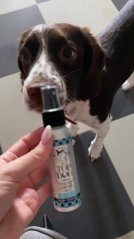 Top Dog perfume ?