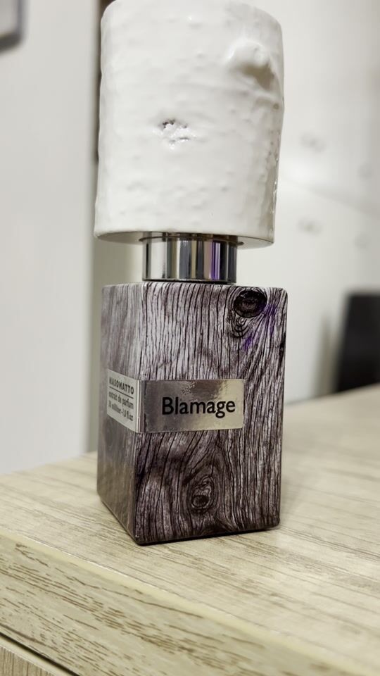 Blamage means mistake. So, is it? ?