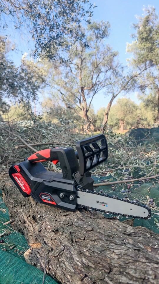 Battery-operated pruning chainsaw Blue Bird CS 22-07