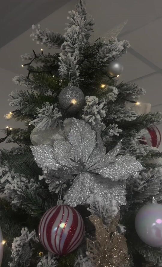 What a beautiful combination of silver and red on a snowy tree!