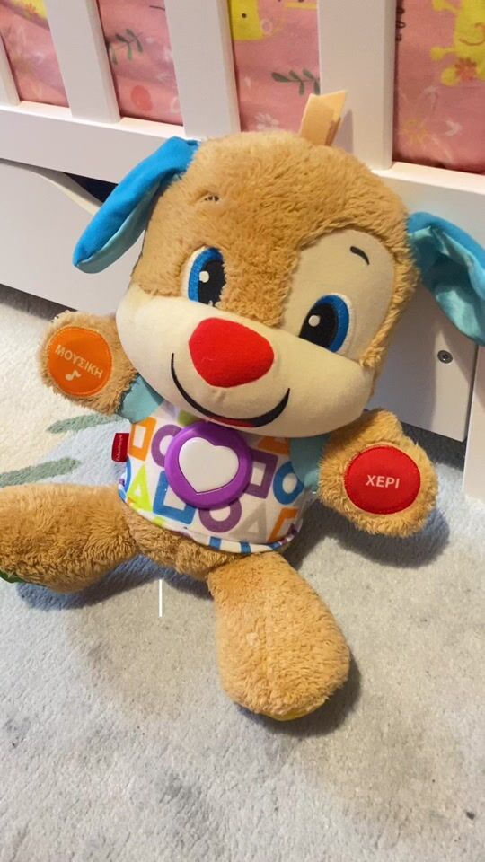 Fisher Price Educational Puppy with Colors and Sounds 6+