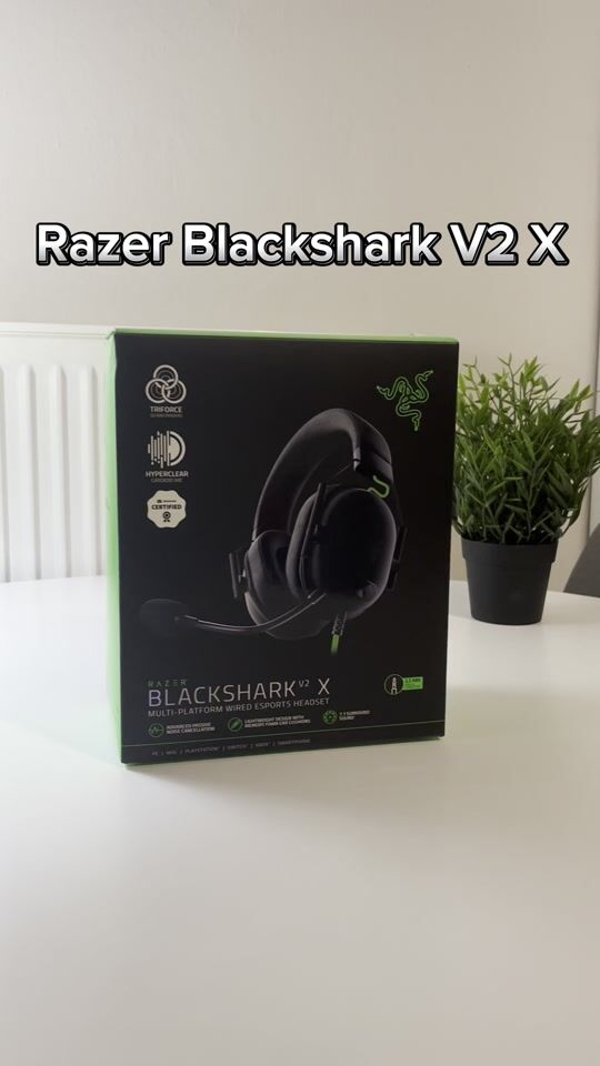 The reliable Razer Gaming Headset!