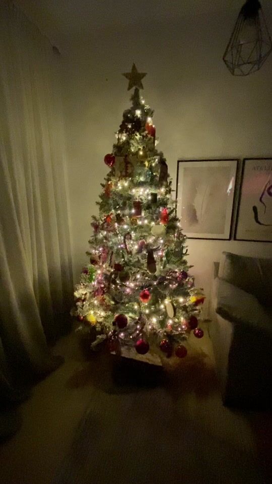 Christmas is approaching, it's time for the Christmas tree