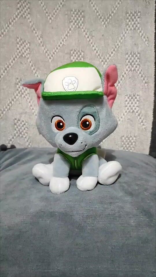 Paw Patrol Rocky Plush