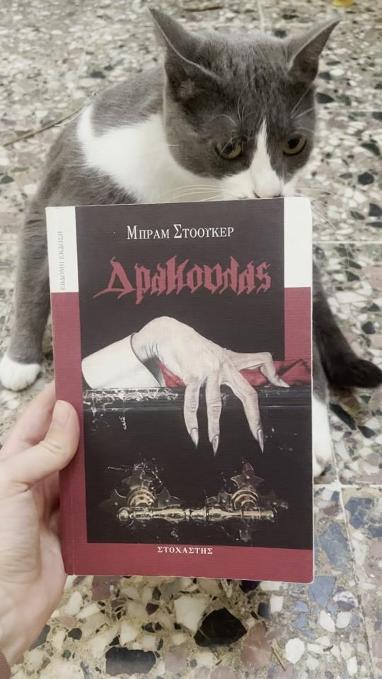 Kimchi suggests for autumn: Dracula by Bram Stoker ??‍♀️