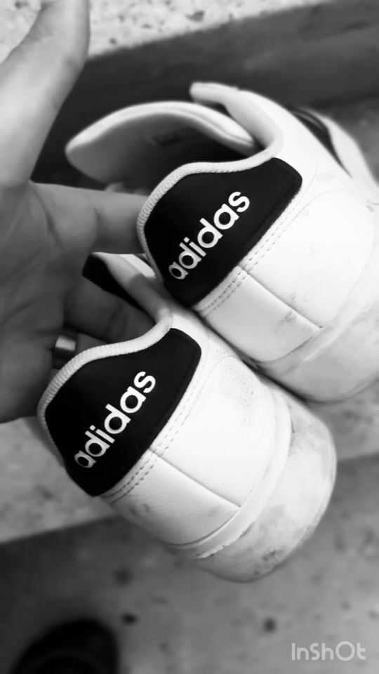 Adidas sneakers ❤️❤️❤️
