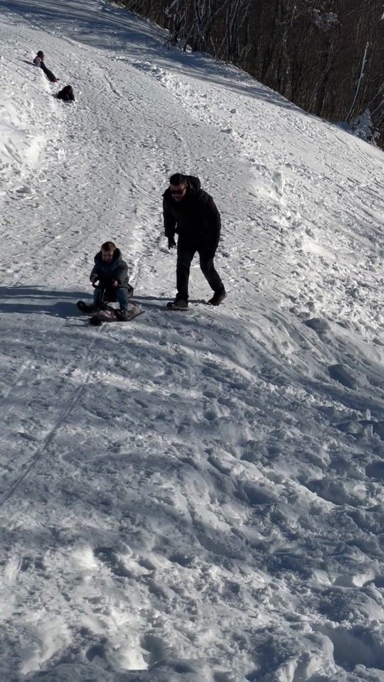 Sled - The best snow toy for our little friends