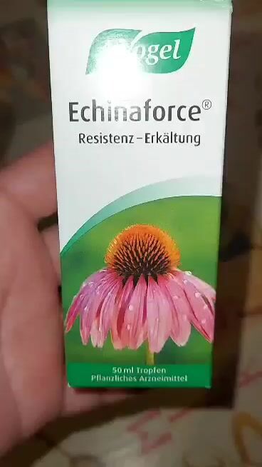 Vogel-Echinaforce-Echinacea-Tropfen