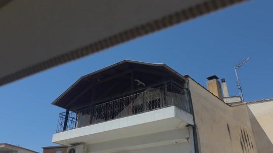 Βίντεο αξιολόγησης