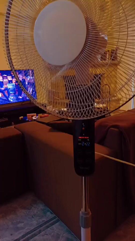 Review for Bruno Stand Fan 45W with a Diameter of 43cm and Remote Control