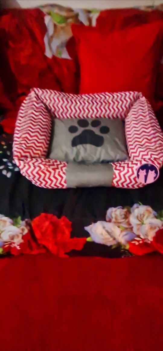 Dog Sofa Bed in Red color 60x50cm