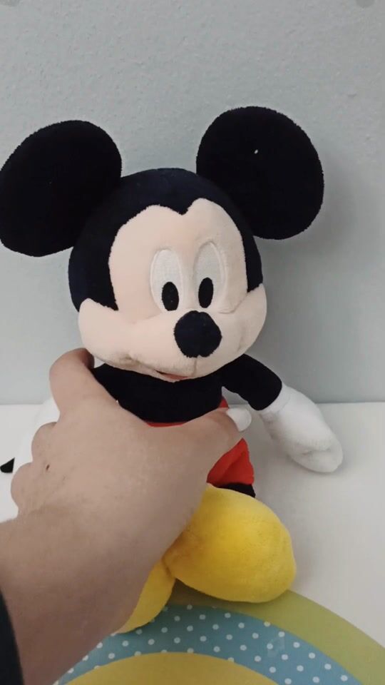 Mickey Mouse Disney din plus