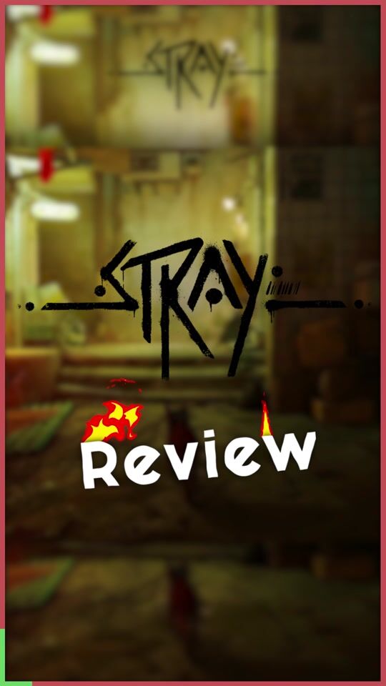 Stray: Short Review